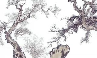 画植树节的画 画一幅植树有简单的画